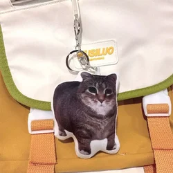 Oiiaio llavero de voz de gato con sonido suave y descompresión