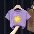 DSN 485 purple