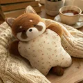 raccoon
