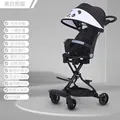Black panda