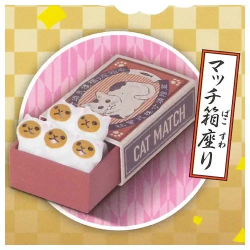 cat sit matchbox