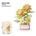 104327-P1260367pcs