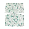 blue triangles