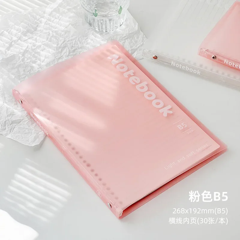 B5  Pink  Line
