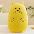 kitten 20CM