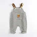 stripe