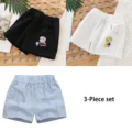 B-3pcs