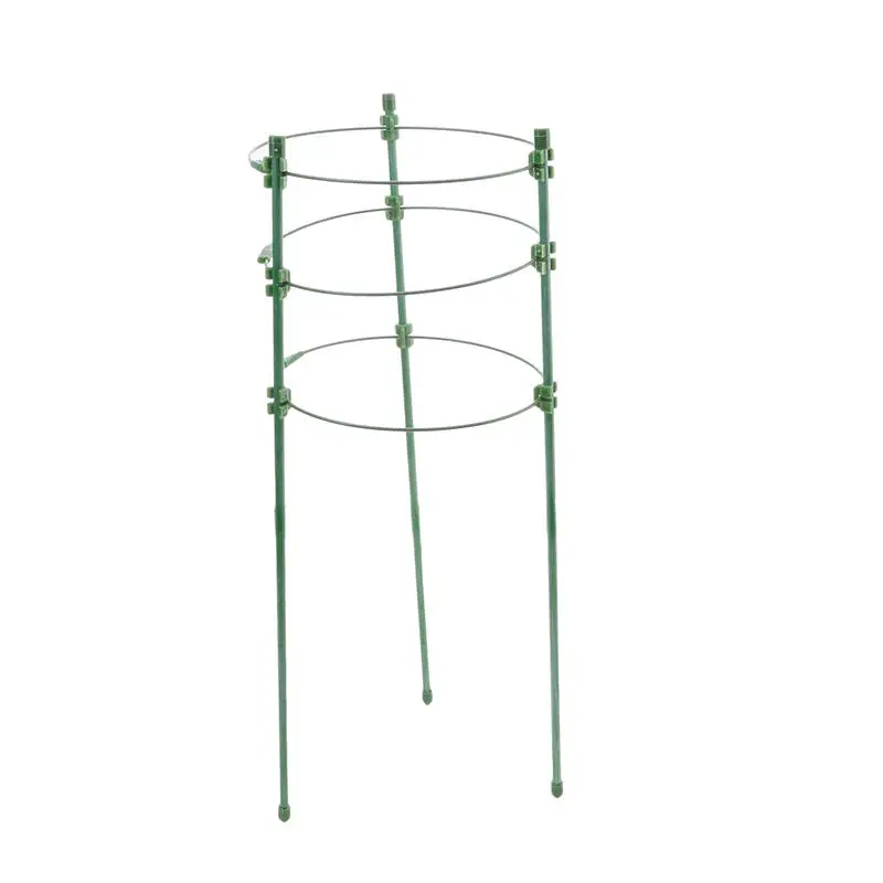 Soporte plantas trepadoras infantil con enrejado decorativo jardín - imagen 2
