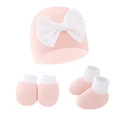 A2-3 PCs