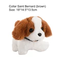 Saint Bernard
