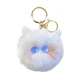 white cat blue eyes