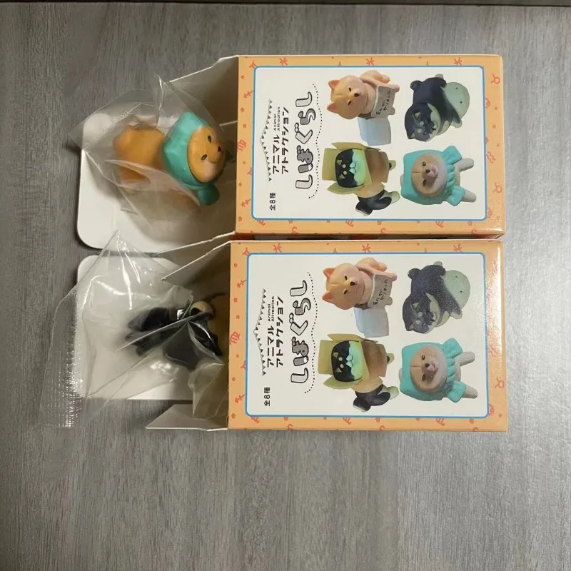 Shiba Inu que se niega a caminar, caja ciega, juguetes, animales bonitos, desmontaje en casa, serie de perros, muñecos, juguetes, adornos para coleccionar - imagen 3