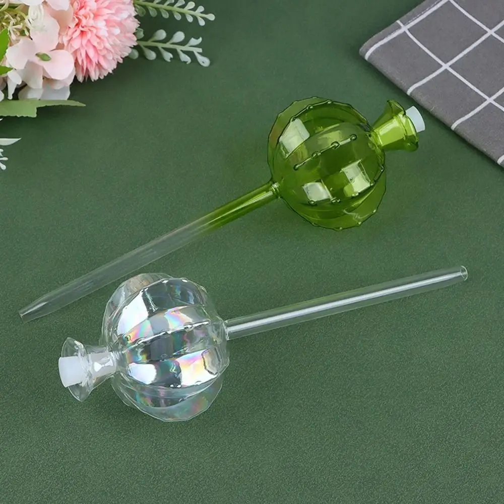 Macetero de autorriego automático de Cactus, bombillas de riego automático de plantas de vidrio, bonito alimentador de agua para plantas, bombillas de vidrio para interiores - imagen 5