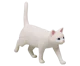 white Shiro Block
