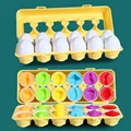 C190-12pcs fruit