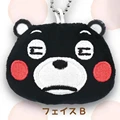 bear squint