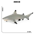 SEA LIFE - 28