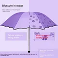luolanpurple