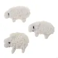 3 white lambs