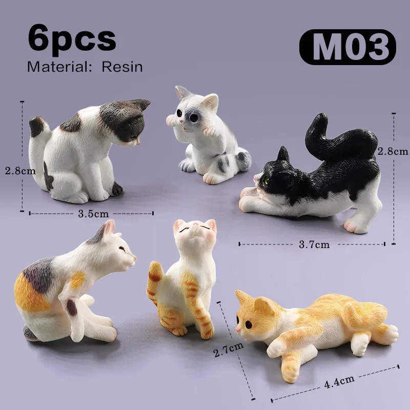 6pcs Cat -M03