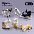 6pcs Cat -M03