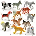 12pcs Dog - a