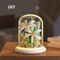 Lily