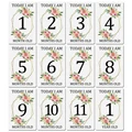 sticker-12pcs