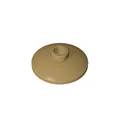 dark beige-20pcs