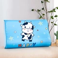 G-44x27cm pillowcase