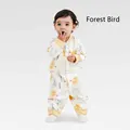 Forest Bird