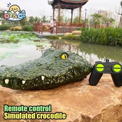 Barco control remoto cocodrilo – Juguete verano para niños