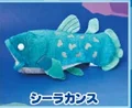 Coelacanth