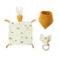 for orange lemon