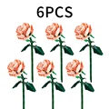 pink-6pcs