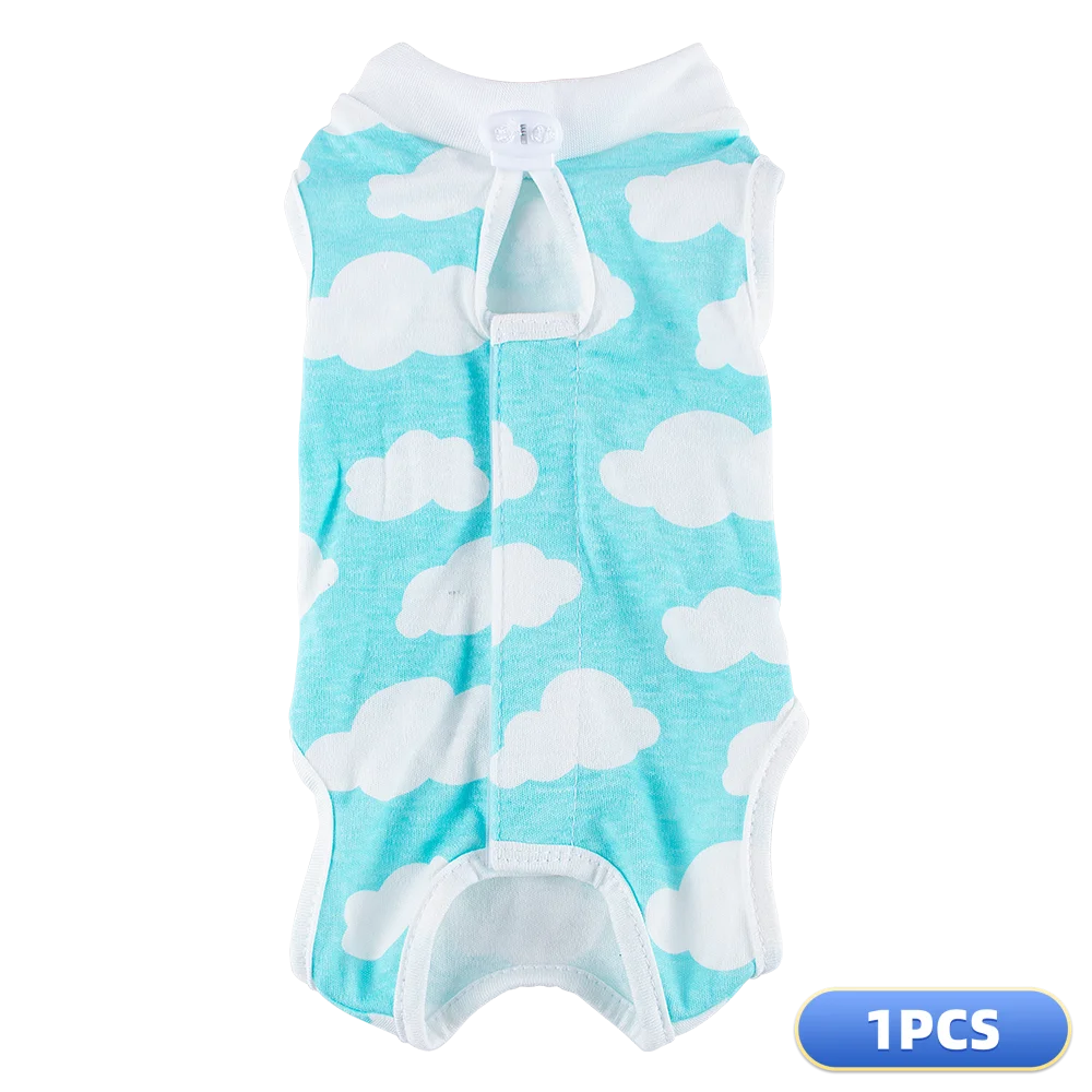 1PCS-cloud