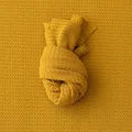 Ginger yellow