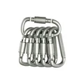 Silver 6pcs