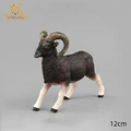 Argali