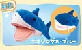 white shark blue