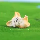 1pc Playing 05