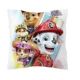 Pillowcase-2