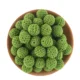 10pcs bean green