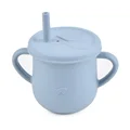 Y21 Sippy Cup