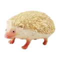walking hedgehog