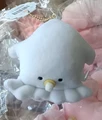 squid