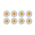 Daisy01