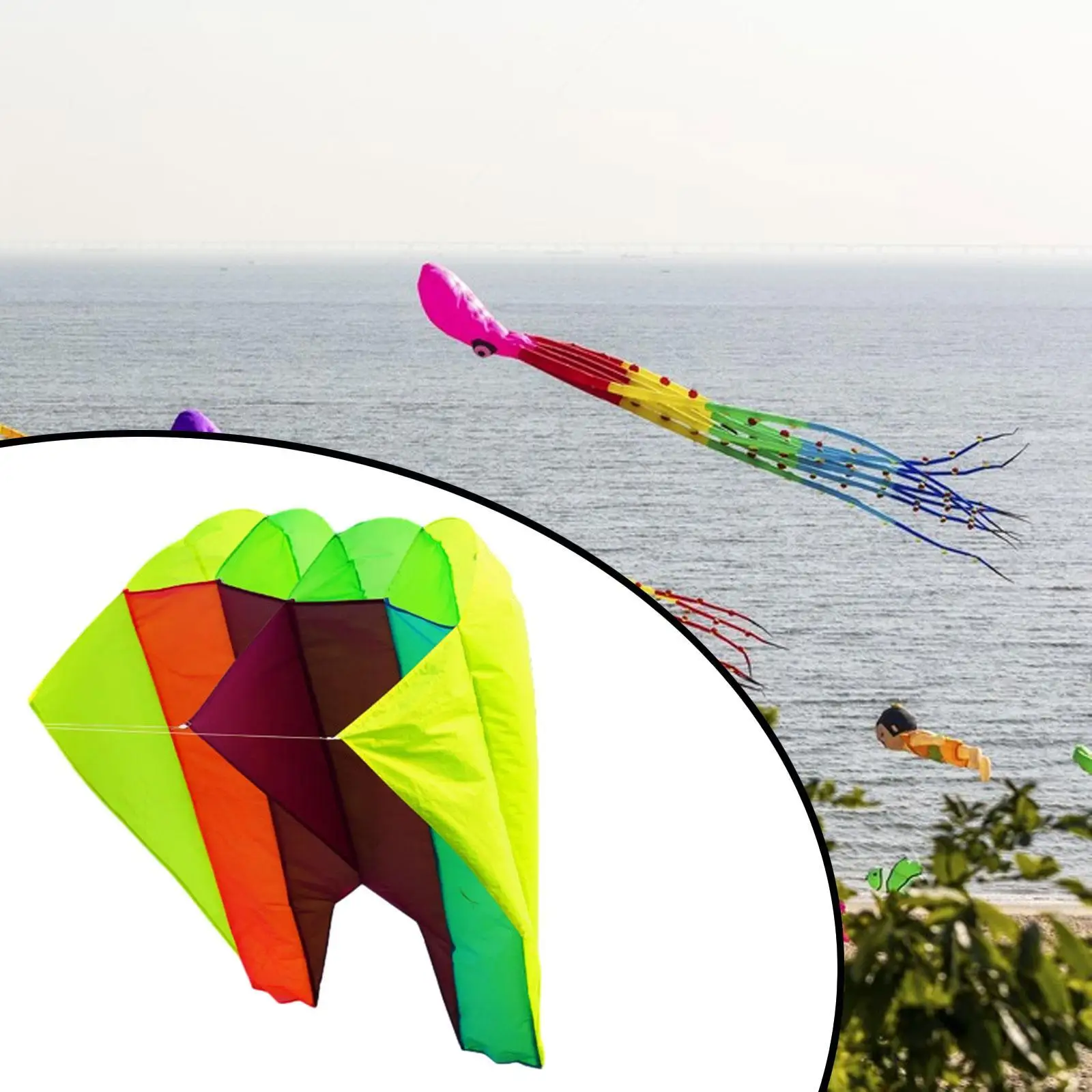 3D Kite Toy Leisure Sports Beach Toy Multicolor for Trip Lawn Backyard