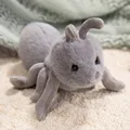 23cm Ant A