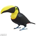 Yellow beak Toucans